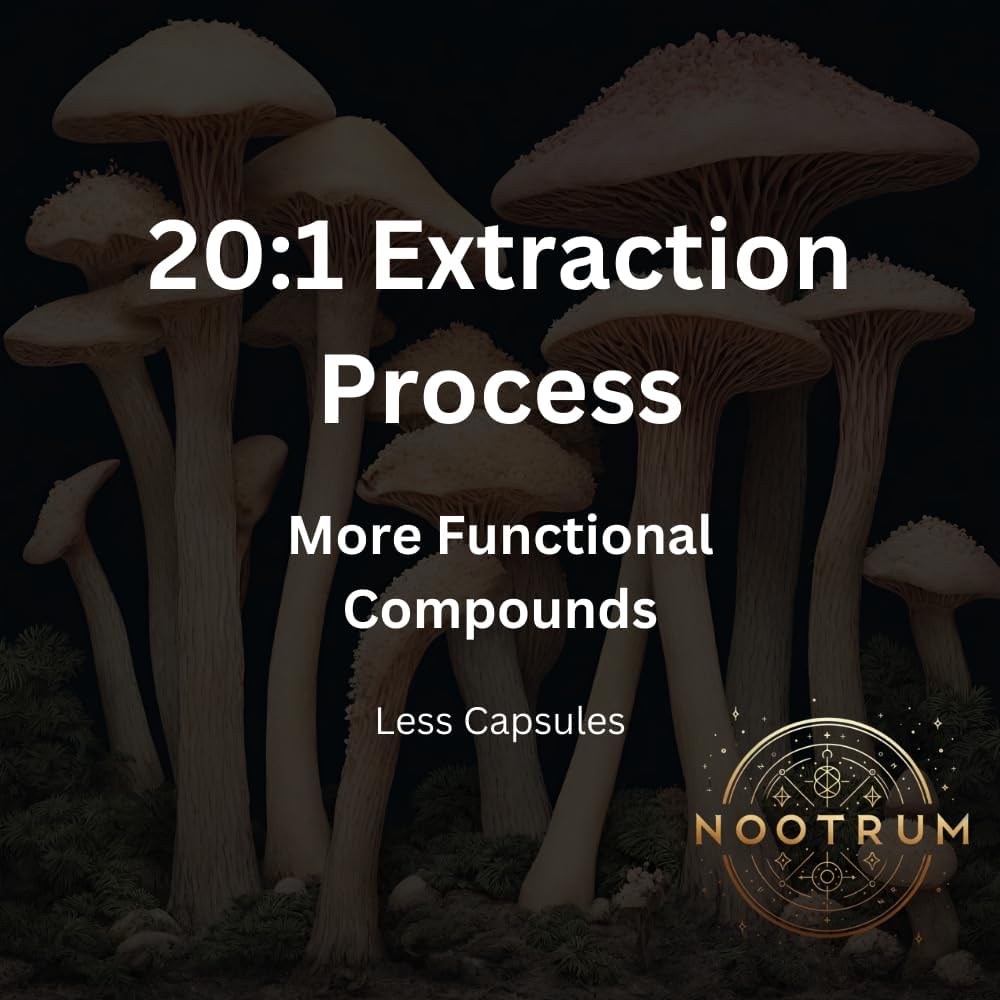 Nootrum Premium Mushroom Capsules