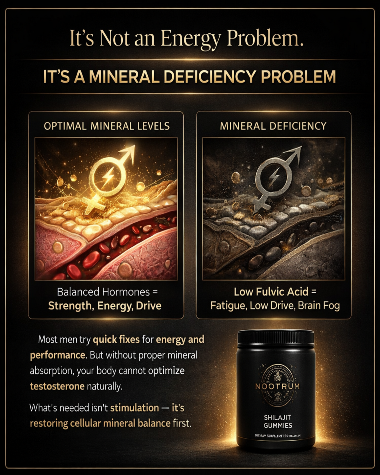 Nootrum Premium Shilajit Gummies